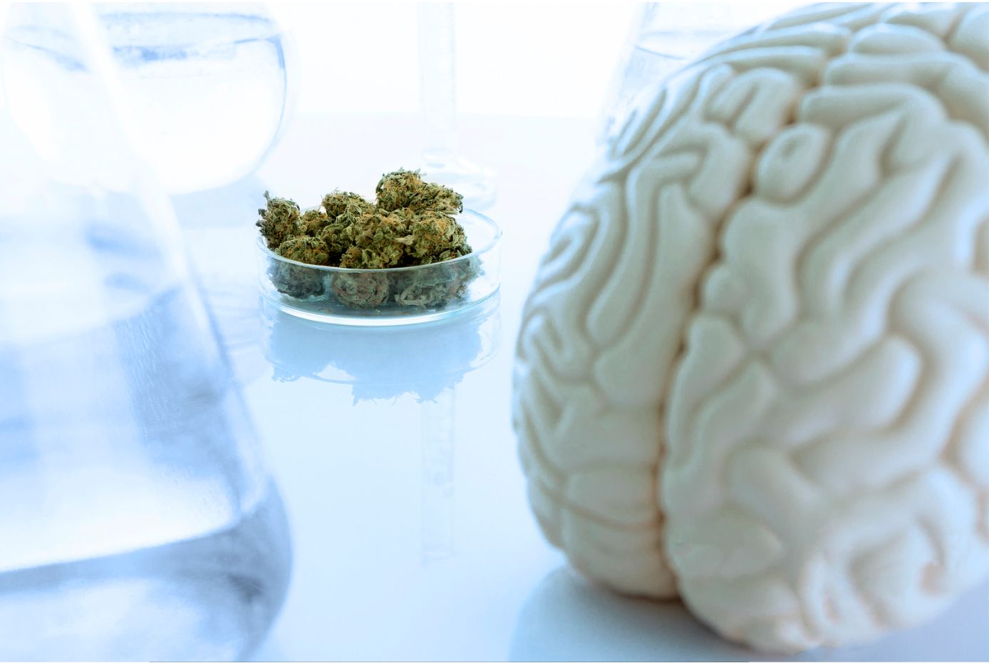 Cannabinoids and Neurodegenerative Disorders