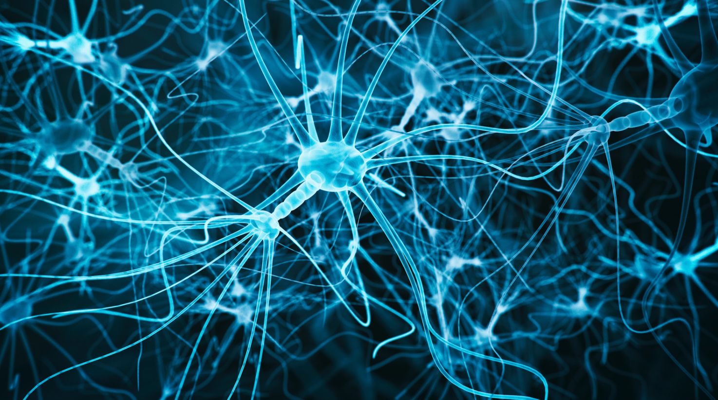 Endocannabinoid System - Part One