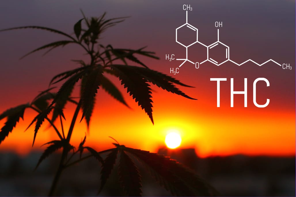 THC - Part One