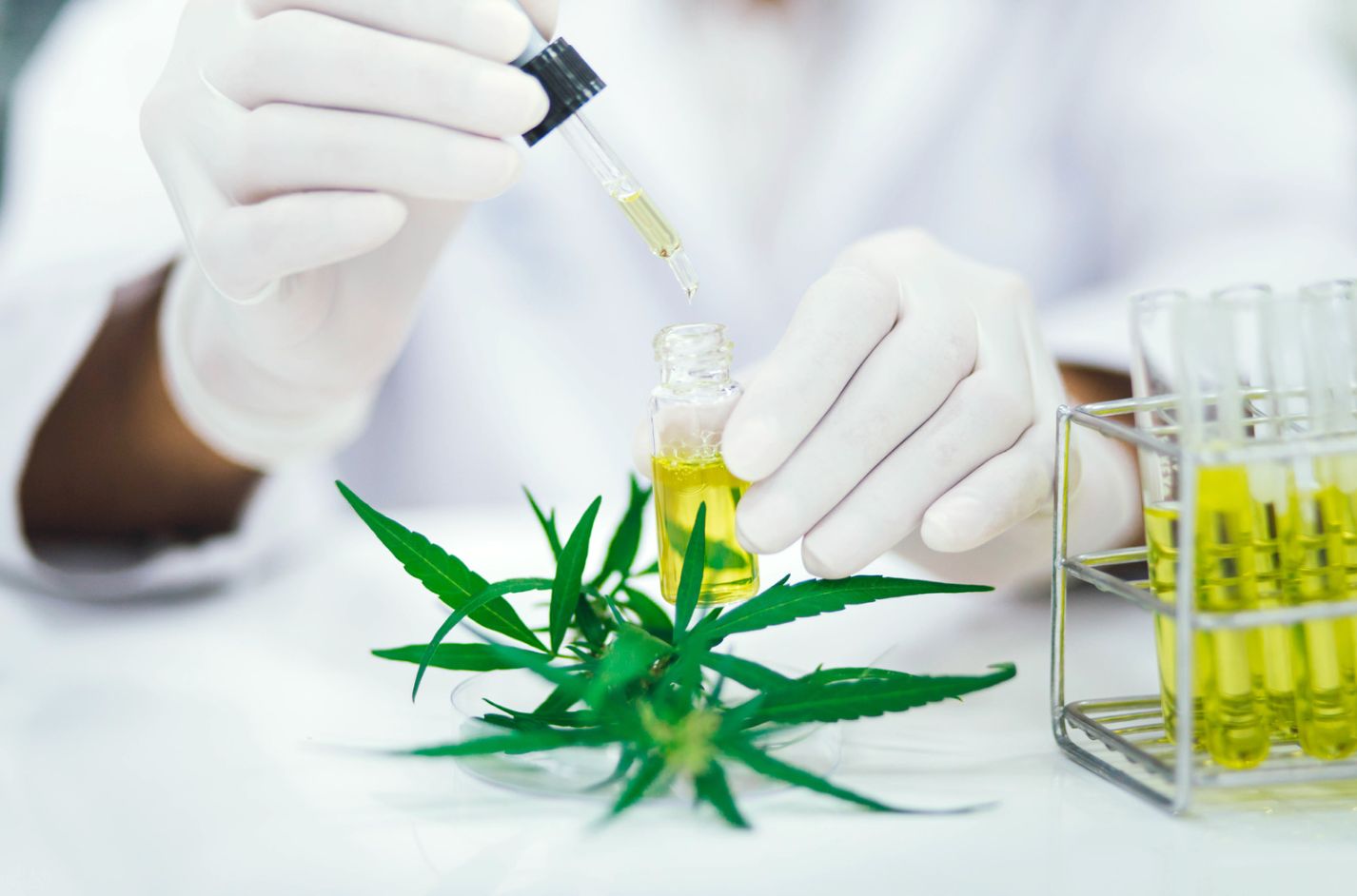 Minor Cannabinoids: Review of Preclinical and Clinical Studies