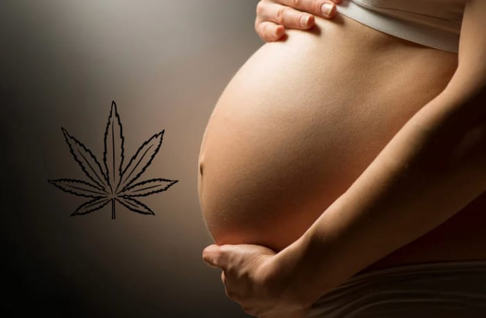Cannabis and Pregnancy