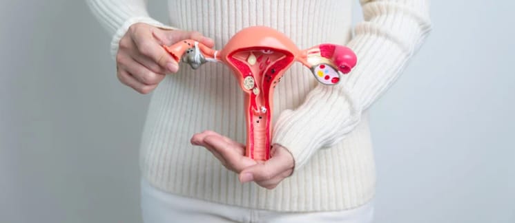 Cannabinoids & Endometriosis: Exploring a Novel Therapeutic Approach