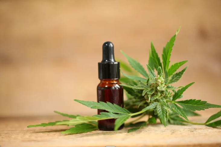 Unlocking the Power of Minor Cannabinoids: CBDA, THCA, and CBGA