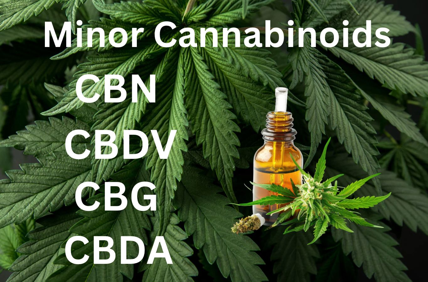 The Hidden Healing Compounds in Cannabis