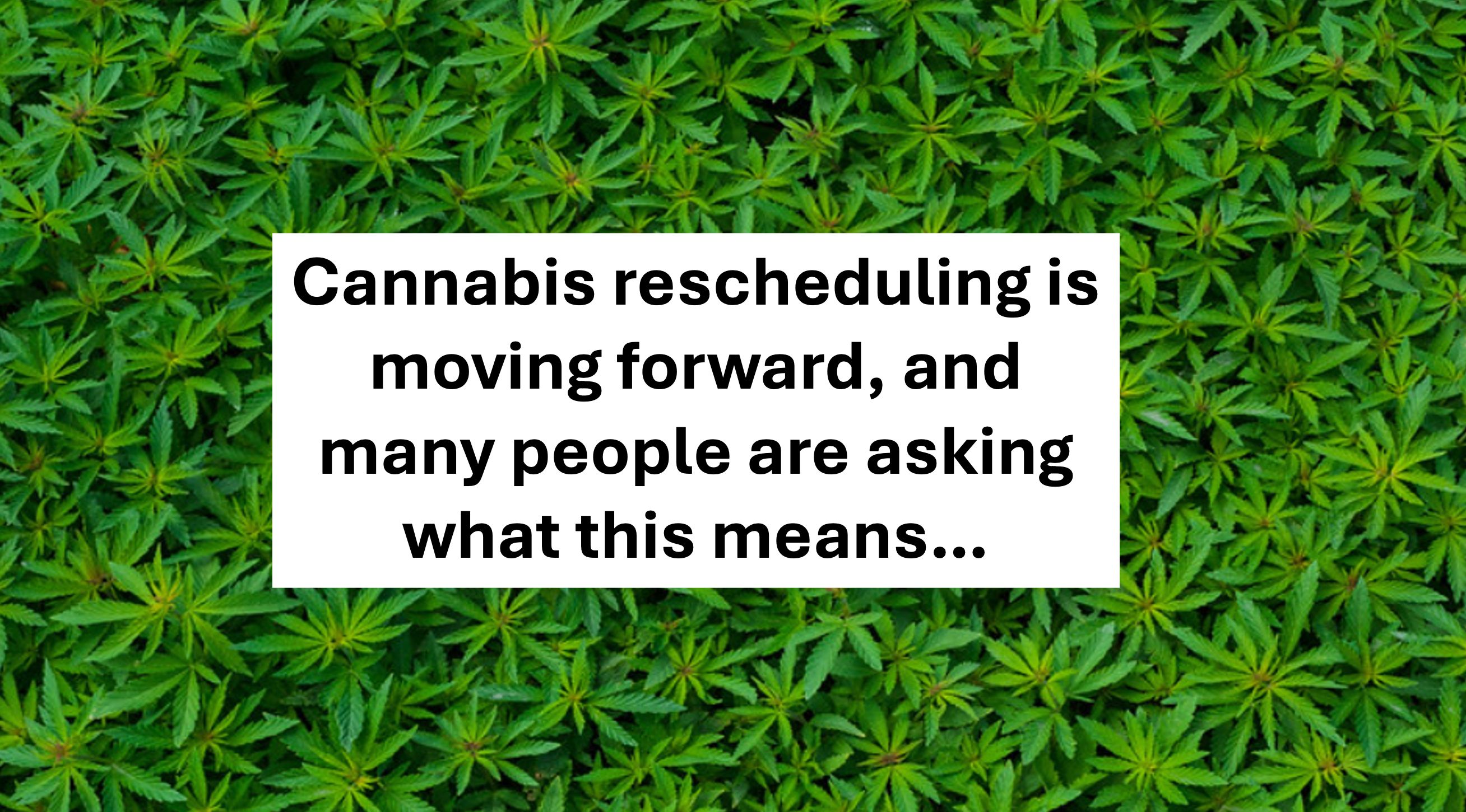 Cannabis Rescheduling: What Moving From Schedule I to Schedule III Really Means