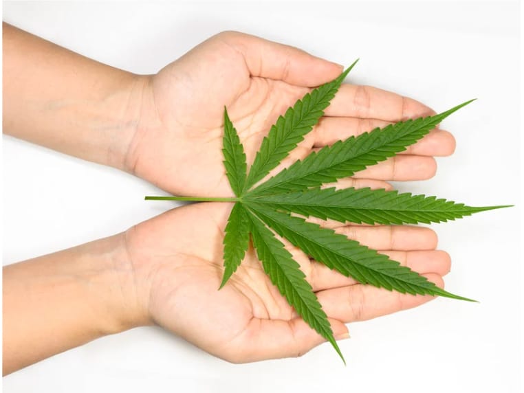 Breaking the Silence: Evidence-based Cannabis Medicine for Women, with special guests Ricki Lake, Abby Epstein and Lisa Williams