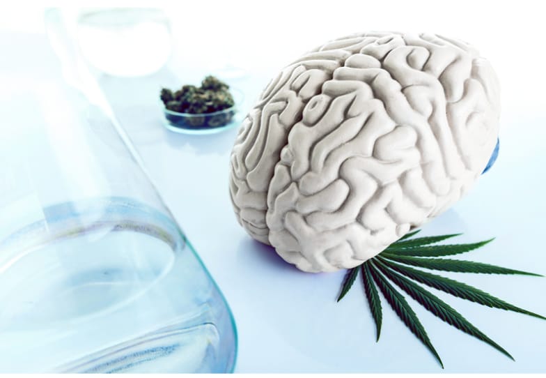 Cannabis and Dementia: Separating Headlines From Science