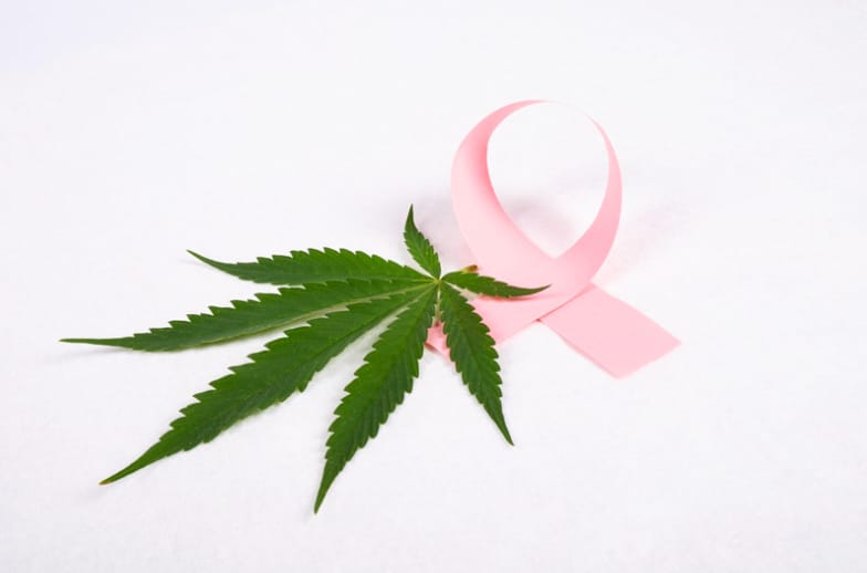 Integrating Cannabis into Cancer Care: Clinical Studies and Patient Experience