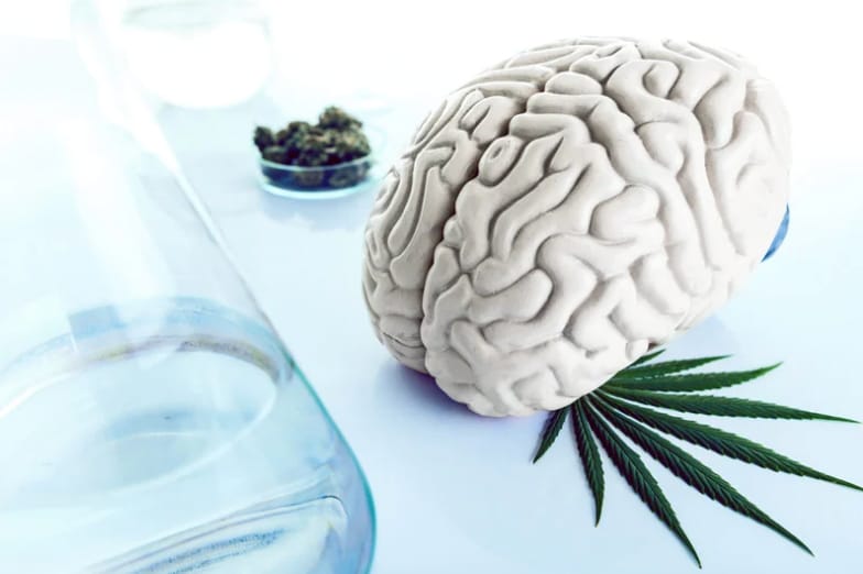 Cannabis and Dementia: Managing Agitation, Sleep, and Quality of Life