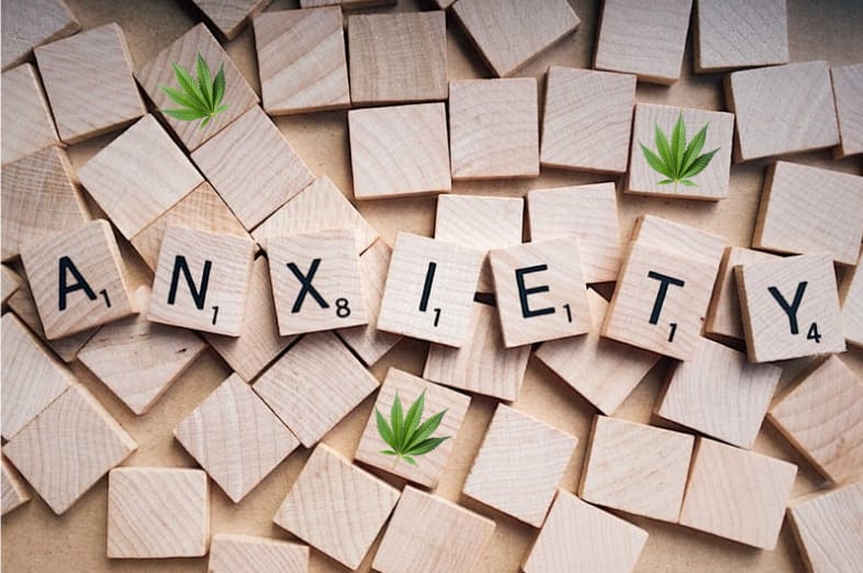 Cannabis for Anxiety: Benefits, Risks, and Tips for Success