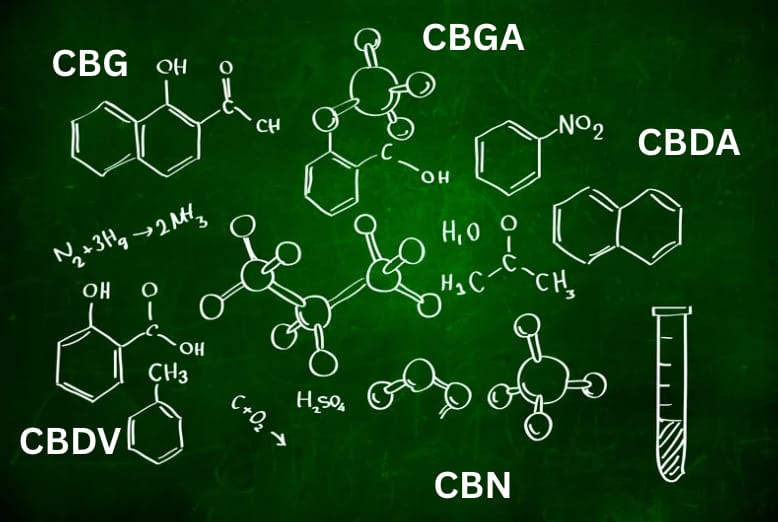 Minor Cannabinoids: Current Evidence and Patient Reports
