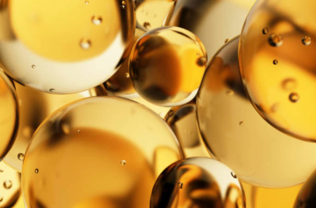 November 2025 Newsletter